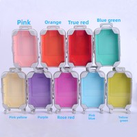 Boîte d'emballage personnalisée en forme de mini valise pour cils en vison véritable, boîte à cils en plastique pour le rangement de cosmétiques