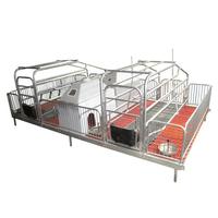 Lit de gestation galvanisé pour truies, boxes de mise bas pour porcs, sols de parcs porcins, équipement d'élevage pour truies à vendre