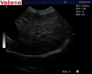 Scanner à ultrasons <span class=keywords><strong>Portable</strong></span> pour animaux - Product Image 6