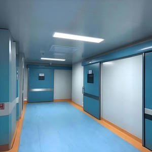 Puertas de Seguridad de Acero Inoxidable para Cuartos Limpios Médicos, <span class=keywords><strong>Precio</strong></span> de Fábrica, Acabado con Aislamiento Acústico para Hospitales/Fábricas de Alimentos/Laboratorios - Product Image 2