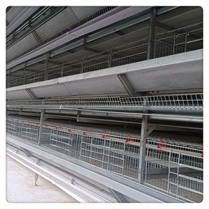 Tipo H azienda agricola fornito completamente automatico gabbie per polli alimentatori animali allevamento gabbie a strati di pollame per galli - Product Image 4
