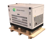 Groupes électrogènes portables silencieux AC/DC AVR double carburant 5Kw 8Kw 10Kw 12KW 20Kw, alimentation de secours GPL, gaz naturel, biogaz, essence CE