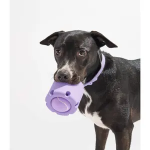 Eco Vriendelijke Duurzaam Rubber Pet Chew Speelgoed Hond Interactieve Tanden Reinigen Beweging Squeak Kauwers Speelgoed Voor Honden