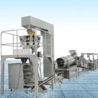 Volledig automatische productielijn voor gefrituurde aardappelchips/Frietproductiemachine/Verwerking van diepvriesfriet