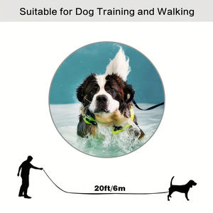 Correa de perro de <span class=keywords><strong>20</strong></span> pies Correa de perro de polipropileno grueso para correr - Product Image 3