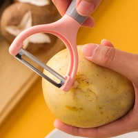 Huishoudelijke PP handmatige multifunctionele fruit- en groenteschiller keuken gadget aardappelplakker