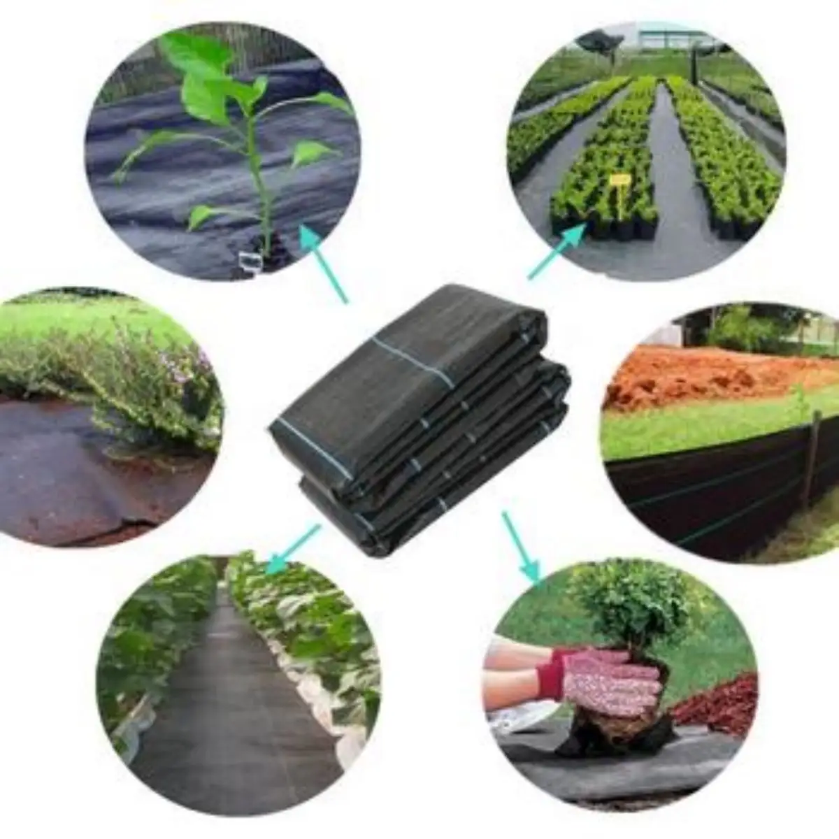 landscaping agricultural orchards greenhouses flowers planting and other ground grass prevention weed mat