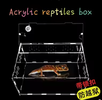 Terrarium pour reptiles en acrylique transparent - Durable pour la reproduction des reptiles