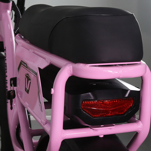 Tourwheel EU Kho Bán Buôn 20 Inch 48V Retro Ebike Xe Đạp Khung Chất Béo Lốp Tuyết E Fatbike Điện - Product Image 5