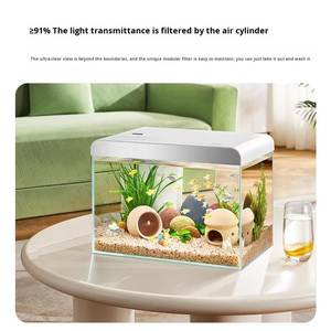 Pecera Rectangular Pequeña de Vidrio Ultra Blanco con Circulación Automática para Oficina en Casa, Garantía de 2 Años, No Requiere Peces - Product Image 3