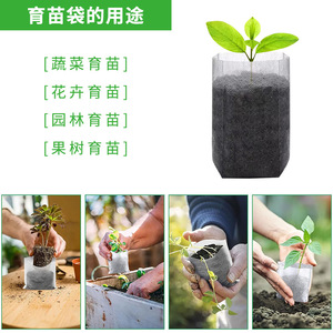 Sacs de culture en tissu non tissé biodégradable et respirant, pots de semis sur pied avec fonction d'auto-absorption - Product Image 4