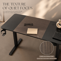 Table de jeu électronique AOR à hauteur réglable intelligente : Conception résistante aux chocs, aux rebonds et à la surchauffe, Vente en gros usine