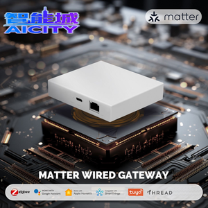 Passerelle Zigbee filaire <span class=keywords><strong>Tuya</strong></span> Golden Security, design barre, en plastique, compatible Google Assistant, SmartThings, <span class=keywords><strong>HomeKit</strong></span> - Product Image 5