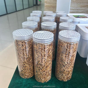 Vers de farine jaunes séchés 100% naturels, nourriture pour animaux de compagnie riche en protéines pour oiseaux, poulets, poissons, hamsters - Product Image 6