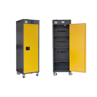 Armoire de stockage de batterie ignifuge IBC16 pour l'énergie renouvelable
