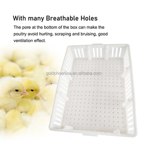 QA casse di plastica per il trasporto di polli dal vivo casse per il trasporto di pollame per piccioni di quaglia - Product Image 3