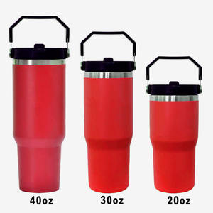 Topnovo Nouveau Produit 2025 Bouteille d'eau sport en acier inoxydable Ice 2.0 avec paille rabattable, poignée et couvercle à torsion - Product Image 6