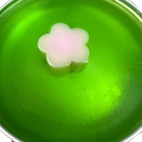 Pinceaux de maquillage parfumés pastèque verte Gel de nettoyage Savon visible avec fleur pour nettoyer les éponges de beauté Outils de maquillage Nettoyant