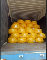 Câble ABC Triplex Service Drop 6AWG Paludina Isolé PE avec Fil Neutre ACSR pour le Marché des Philippines