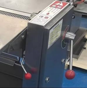 Nieuwe professionele automatische ontharingmachine voor slachthuizen, merk RuiCheng, hoge snelheid 18m/min, voor het ontharen van varkens en lammeren. - Product Image 3