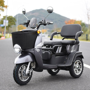 Tricycle électrique de marque Nzita, certifié EEC, scooter électrique, vélo cargo, tricycle électrique 1000w, voiture de loisirs pour adultes - Product Image 2