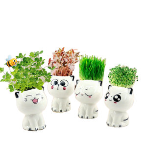Set di Piante <span class=keywords><strong>in</strong></span> <span class=keywords><strong>Vaso</strong></span> a Forma di Gatto Cartoon, Giocattolo Fai-da-Te per Bambini, Regalo per l'Apertura della Scuola o Compleanno - Product Image 1