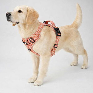 Pettorina per Cani Personalizzata con Stampa Foglia d'Acero, Imbottita, Riflettente, Traspirante, con Cinturino Regolabile per Cani Medi e Grandi - Product Image 6