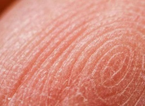 Бесплатные ходунки 20 мм F2.0 компактные и портативные макро-линзы, предназначенные для микроскопии с низким увеличением, Zhong Yi - Product Image 5