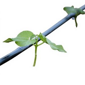 Sanyou 2.0LPH Tuyau d'irrigation PE haute performance avec espacement de 60 cm pour l'irrigation des arbres matures - Product Image 1