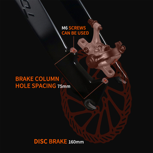 Horquilla Rígida para Bicicleta de Montaña TOSEEK, 26/27.5/29 Pulgadas, QR 9x100, Freno de Disco Recto, Ligera, para XC, Trail, All Mountain, Carreras y Competición - Product Image 4