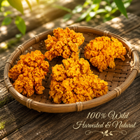 Hongo Oreja de Oro Seco Premium |   Tremella Aurantialba Silvestre |   Hongo Amarillo con Alto Contenido de Colágeno |   Precio de Fábrica |   Venta al por Mayor OEM