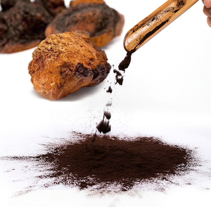OEM özel etiket bitkisel diyet takviyeleri 500mg * 90 kapsül <span class=keywords><strong>Chaga</strong></span> mantar özü kapsül 30% polisakkaritler - Product Image 5