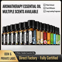 Huile Essentielle de Lavande Naturelle en Gros pour Usines – Extrait Pur de Plantes pour Humidificateurs, Diffuseurs et Machines d'Aromathérapie