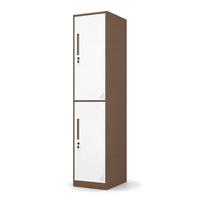 Armoire casier en acier à deux portes avec serrure à clé, rangement métallique pour écoles, gymnases, hôtels, salles du personnel, casiers en acier ventilés