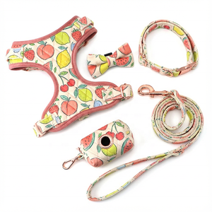 Nouveau design 2026 : Ensemble de <span class=keywords><strong>harnais</strong></span> <span class=keywords><strong>pour</strong></span> animaux de compagnie en velours brodé, réglable, confortable, avec <span class=keywords><strong>collier</strong></span> et laisse, personnalisable <span class=keywords><strong>pour</strong></span> fournisseurs - Product Image 1