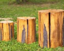 Customized Ip65 3d Large <b>Tree</b> Stump Led Lamp Resin Fiberglass Design For <b>Outdoor</b> Landscape For Wedding <b>Christmas</b> Diwali Motif - Product Image 1