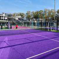 Cancha de Pádel Panorámica Estándar, Conjunto Completo, Apariencia Exquisita, Calidad Confiable, Precio Competitivo de Fábrica para Instalaciones Deportivas