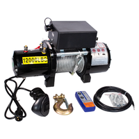 Mini treuil électrique pour voiture avec capacité de 6000lbs/12000lbs, 12v/24v, câble en acier, palan pour automobiles