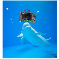 Module interactif pour projecteur Module micro projecteur