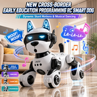 Nouveau Robot Interactif Intelligent Télécommandé pour l'Éducation Précoce, Programmable, Chantant et Dansant, Jouet Éducatif Transfrontalier