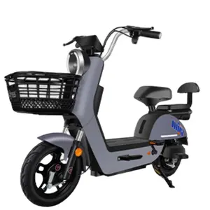 Useful For Adult Electric Bicycle High Quality 48/60V 20A Wholesale Price Many Colors Equipped With USB Charging port