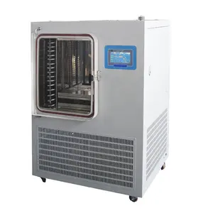 Industrial Freeze Dryer Lyophilizer For Home Use