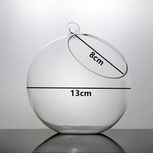 Micro-paysage en verre écologique transparent, plante succulente suspendue, mousse, <span class=keywords><strong>vase</strong></span> vert fait main pour la remise des diplômes et l'inauguration de la maison - Product Image 6