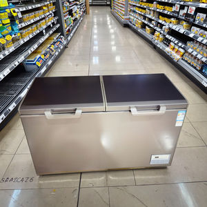 ตู้แช่เครื่องดื่มโซลาร์วูดส์ ขนาด 1.72 เมตร ระบบทำความเย็นโดยตรง ใช้แก๊สโพรเพน พร้อมตู้แช่แข็งพลังงานแสงอาทิตย์แบบแมนนวล สำหรับใช้ในบ้าน - Product Image 1