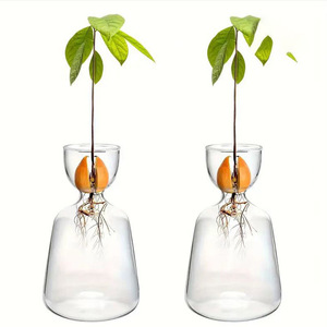 <span class=keywords><strong>Vase</strong></span> hydroponique à <span class=keywords><strong>avocat</strong></span> en verre de style japonais - Product Image 1