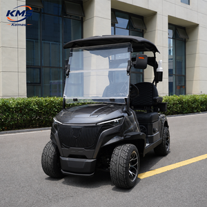 Voitures de golf miniatures à prix de gros, 2 places, sièges confortables, 4 roues, petite voiturette à vendre, batterie haute capacité longue durée - Product Image 1