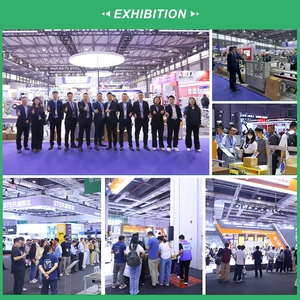 Intelligent PLC Plastic Pillow Packaging Machine | Automatic Food Packing for Snacks Bread & <b>Confectionery</b> Automatic Packing Mac - Product Image 6