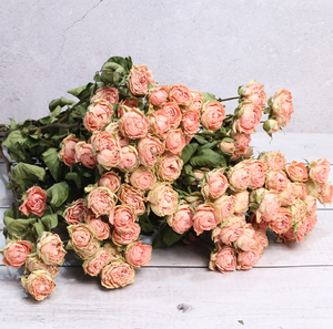 Multi testa essiccata fiore di rosa singola testa essiccata Bouquet di <span class=keywords><strong>Rose</strong></span> rosa bolla decorazione produttore all'ingrosso - Product Image 4