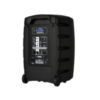Précision Pro Audio CT12D5-GO-U2-MP3 12 pouces Sub Woofer Haut-parleur Système de sonorisation Batterie professionnelle Haut-parleur portable Bluetooth DSP