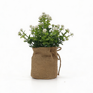 Feuilles d'eucalyptus <span class=keywords><strong>de</strong></span> haute qualité, souffle <span class=keywords><strong>de</strong></span> bébé, dans un sac en <span class=keywords><strong>toile</strong></span> <span class=keywords><strong>de</strong></span> <span class=keywords><strong>jute</strong></span>, plantes en pot à feuilles persistantes pour la décoration intérieure <span class=keywords><strong>de</strong></span> bureau - Product Image 3